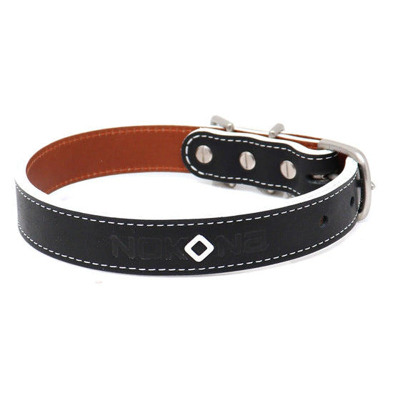 Black Stampede Leather Dog Collar