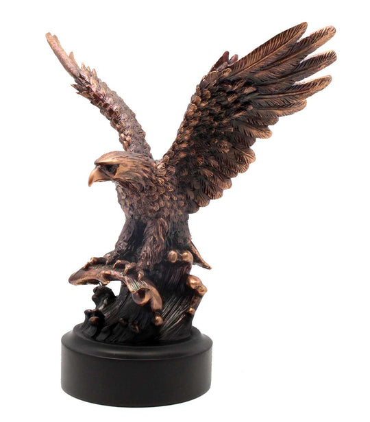 Bronze Eagle Completing A Successful Dive