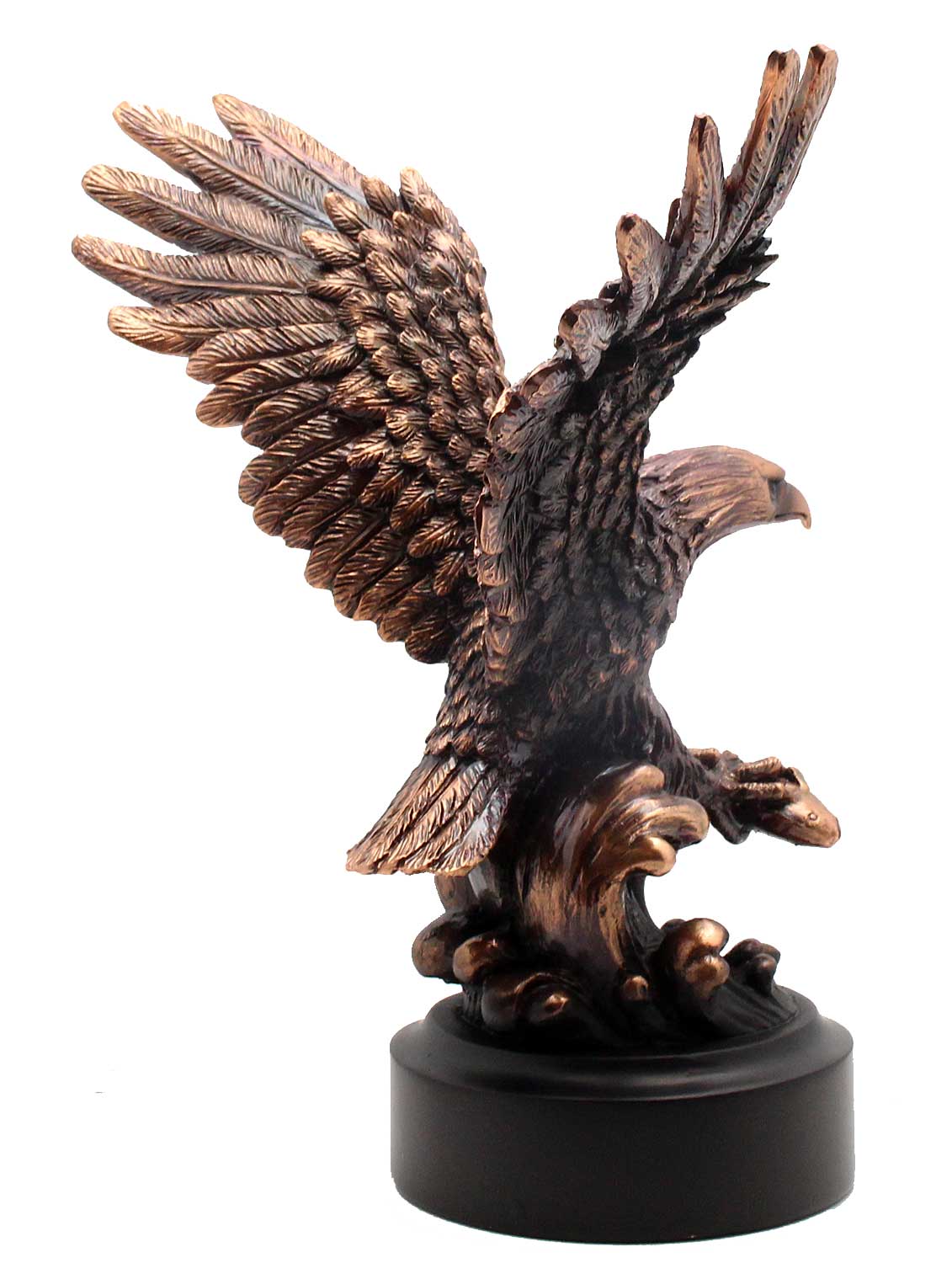 Bronze Eagle Completing A Successful Dive