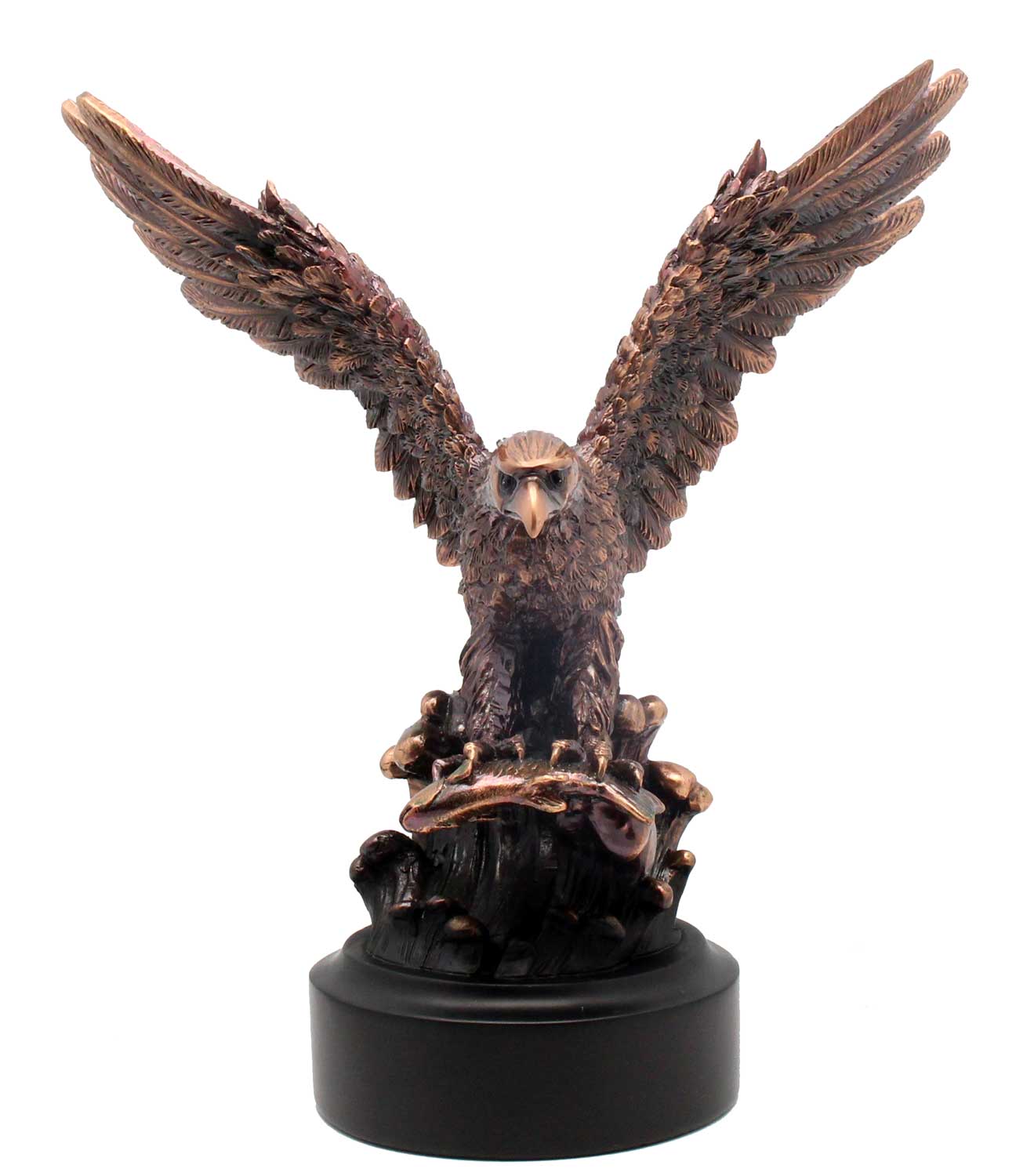 Bronze Eagle Completing A Successful Dive