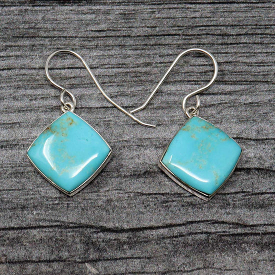 Natural Evans Turquoise Earrings by Webster
