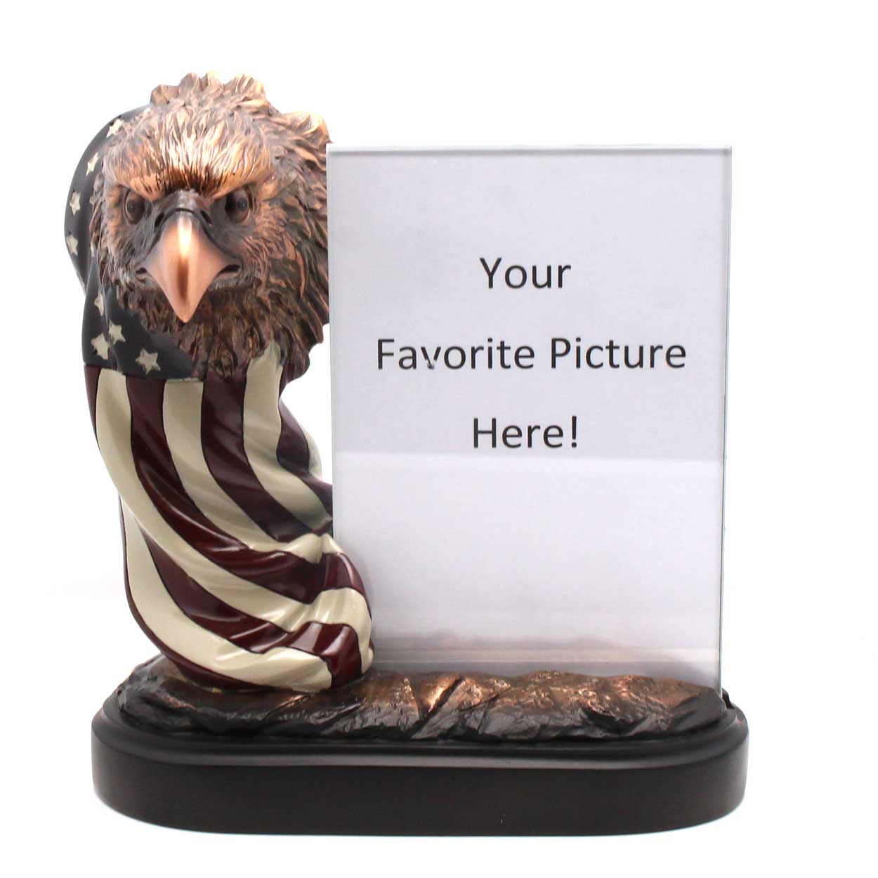 Eagle wrapped in Old Glory Picture Frame