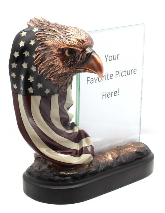Eagle wrapped in Old Glory Picture Frame
