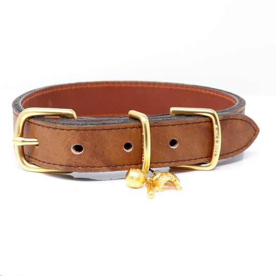 Nokona Walnut Crunch Dog Collar