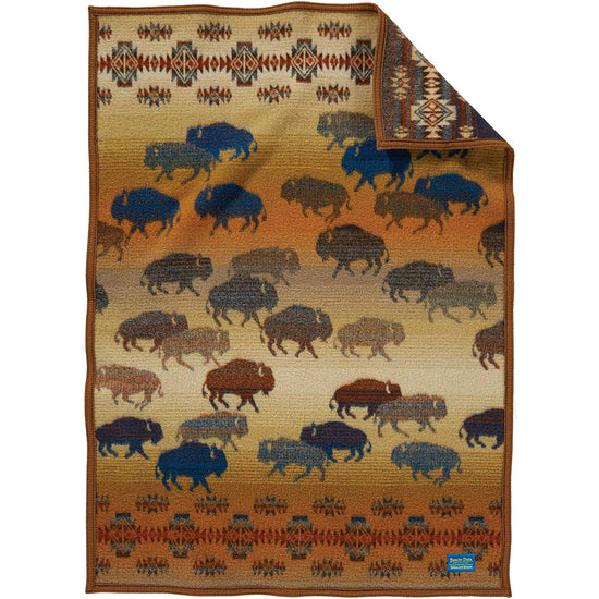 Load image into Gallery viewer, Pendeton Prairie Rush Hour Baby Blanket
