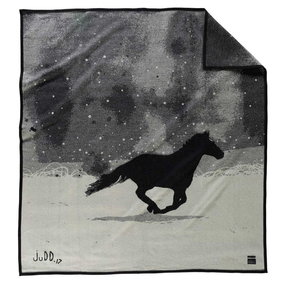 Pendleton A Horse Called Paint Blanket